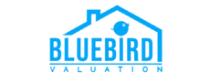 BlueBird valuation ValueLink Customers